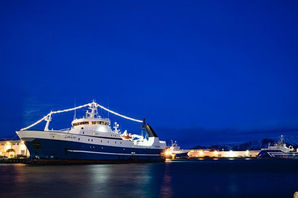 et stort cruiseskip som sitter i vannet om natten