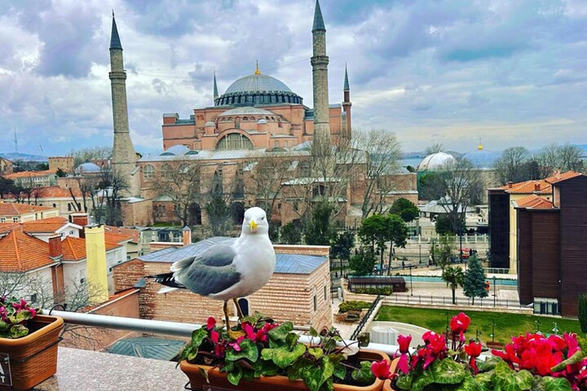 egy madár ül egy virágcserépen egy mecset előtt