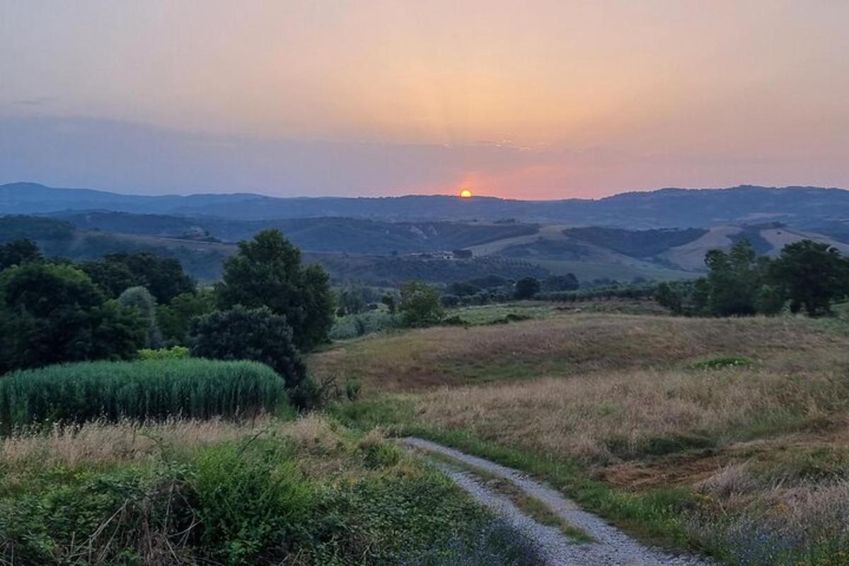 un tramonto su un campo con una strada sterrata