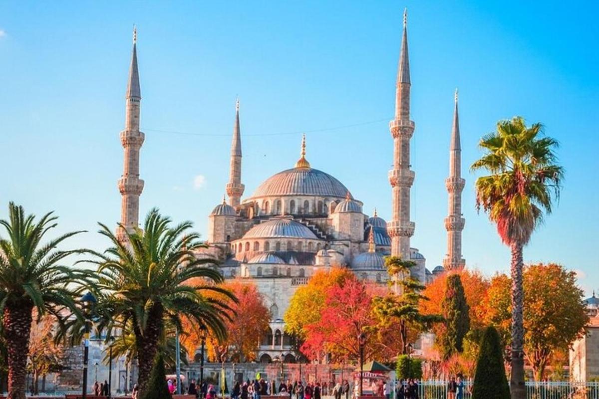 a building with two blue mosques with palm trees