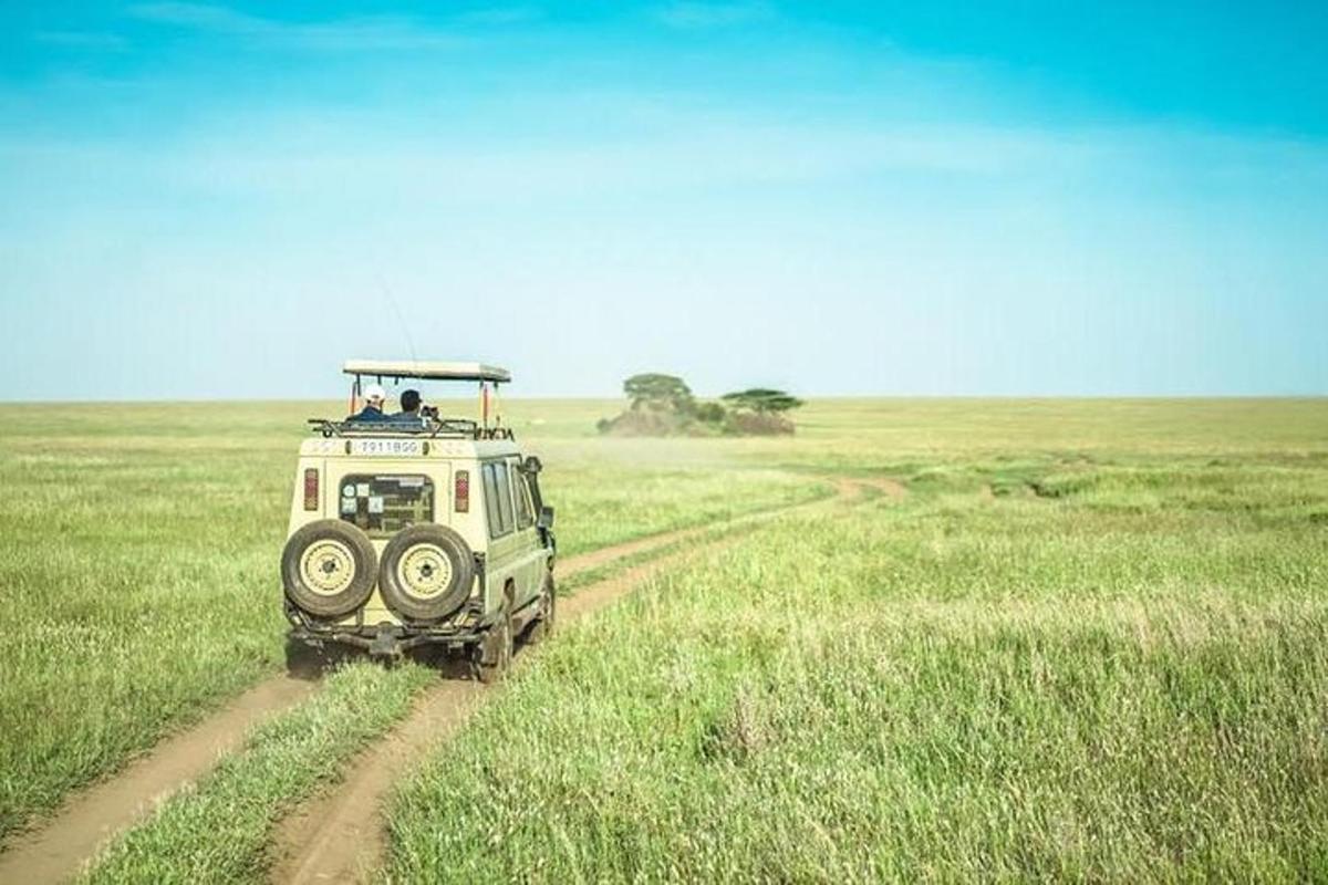 Un jeep conduciendo por un camino de tierra en un campo