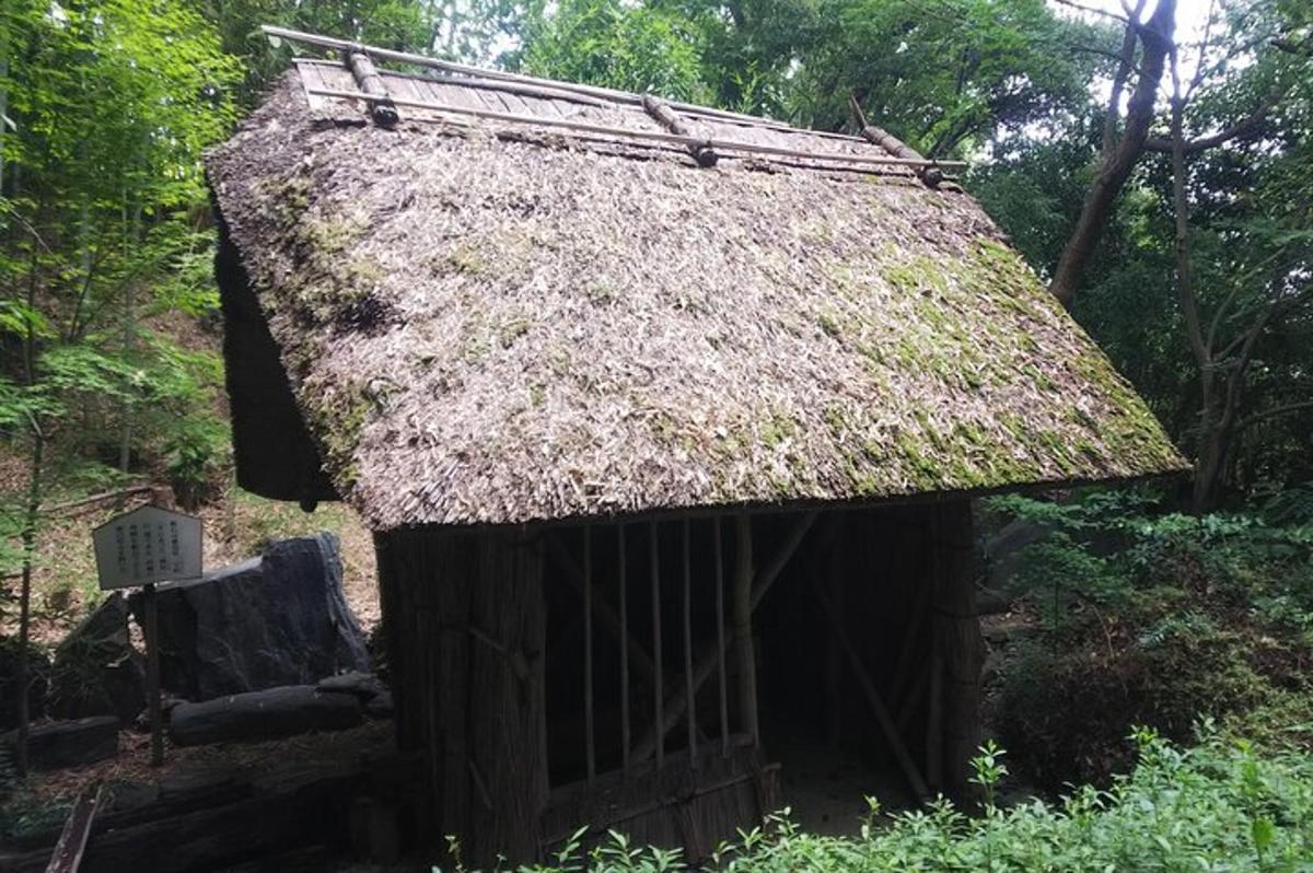 an old hut with a thatched roof in the woods