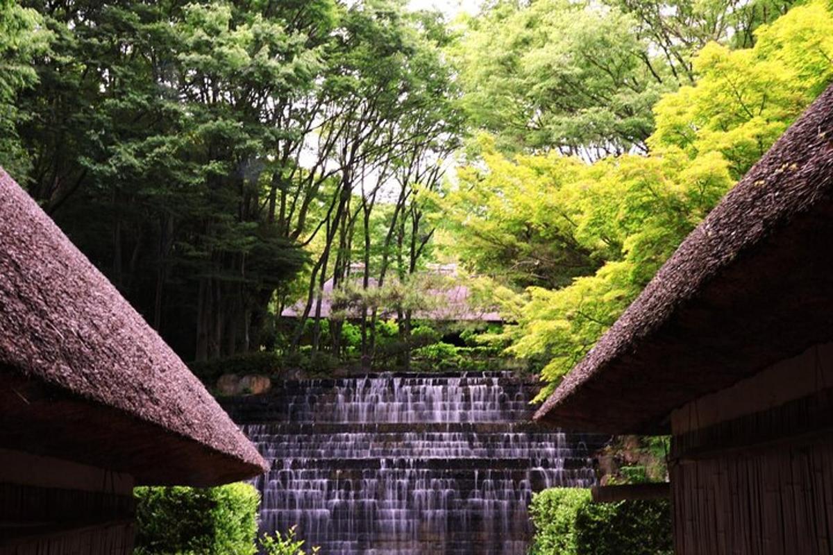 a waterfall in the middle of a forest with trees