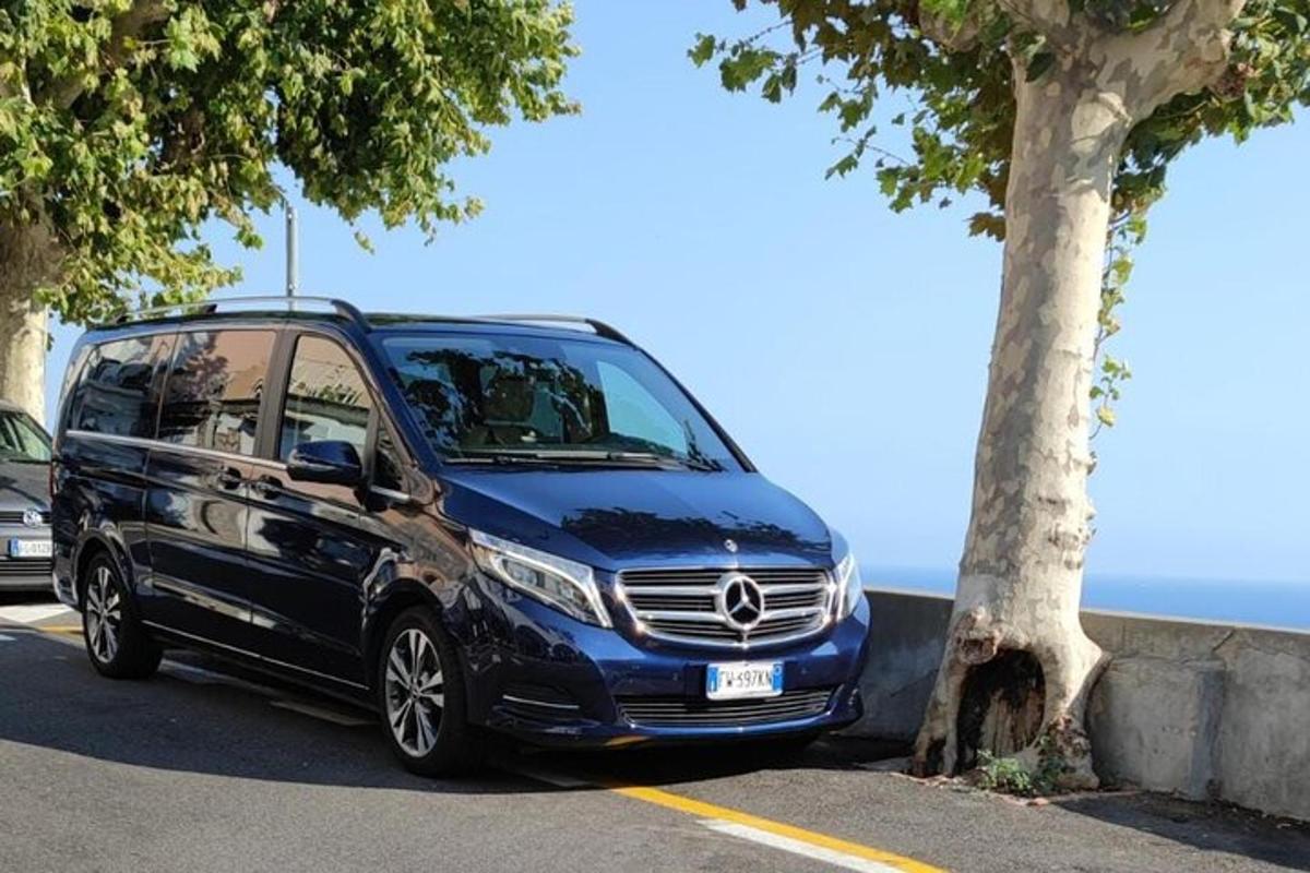 egy kék Mercedes Benz kisbusz parkolt egy fa mellett