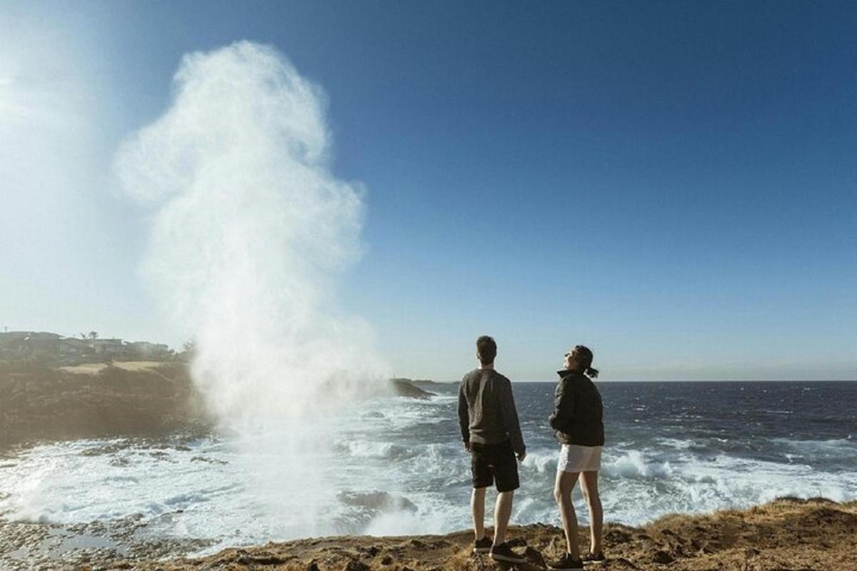 dve osebi, ki stojita na skalah z valom v oceanu