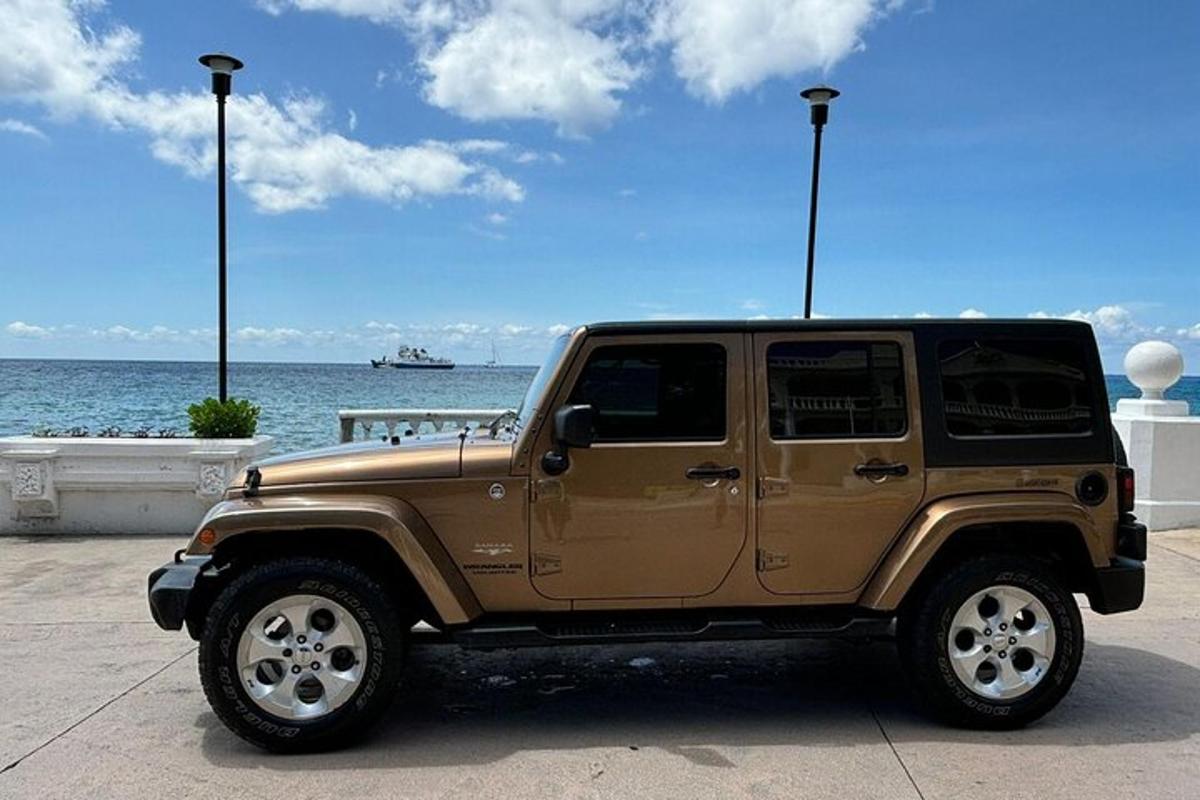un jeep marró aparcat davant de l'oceà