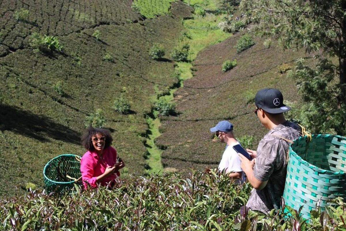 un gruppo di persone in piedi in cima a una collina