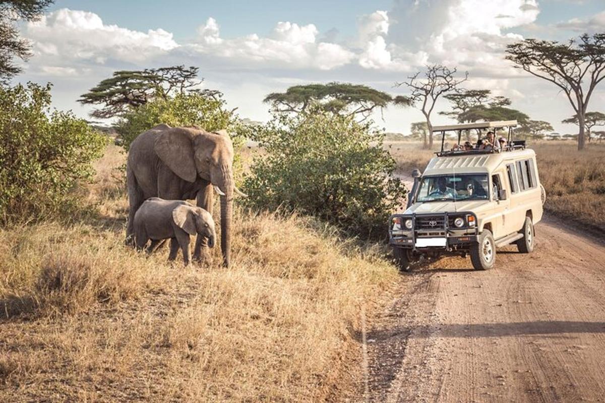 Un vehículo que circula por un camino de tierra con un elefante y un elefante bebé.