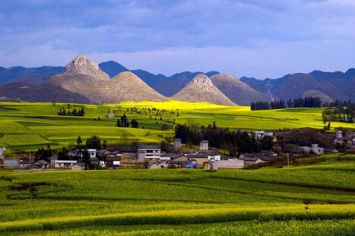 一片绿草地，背景是群山