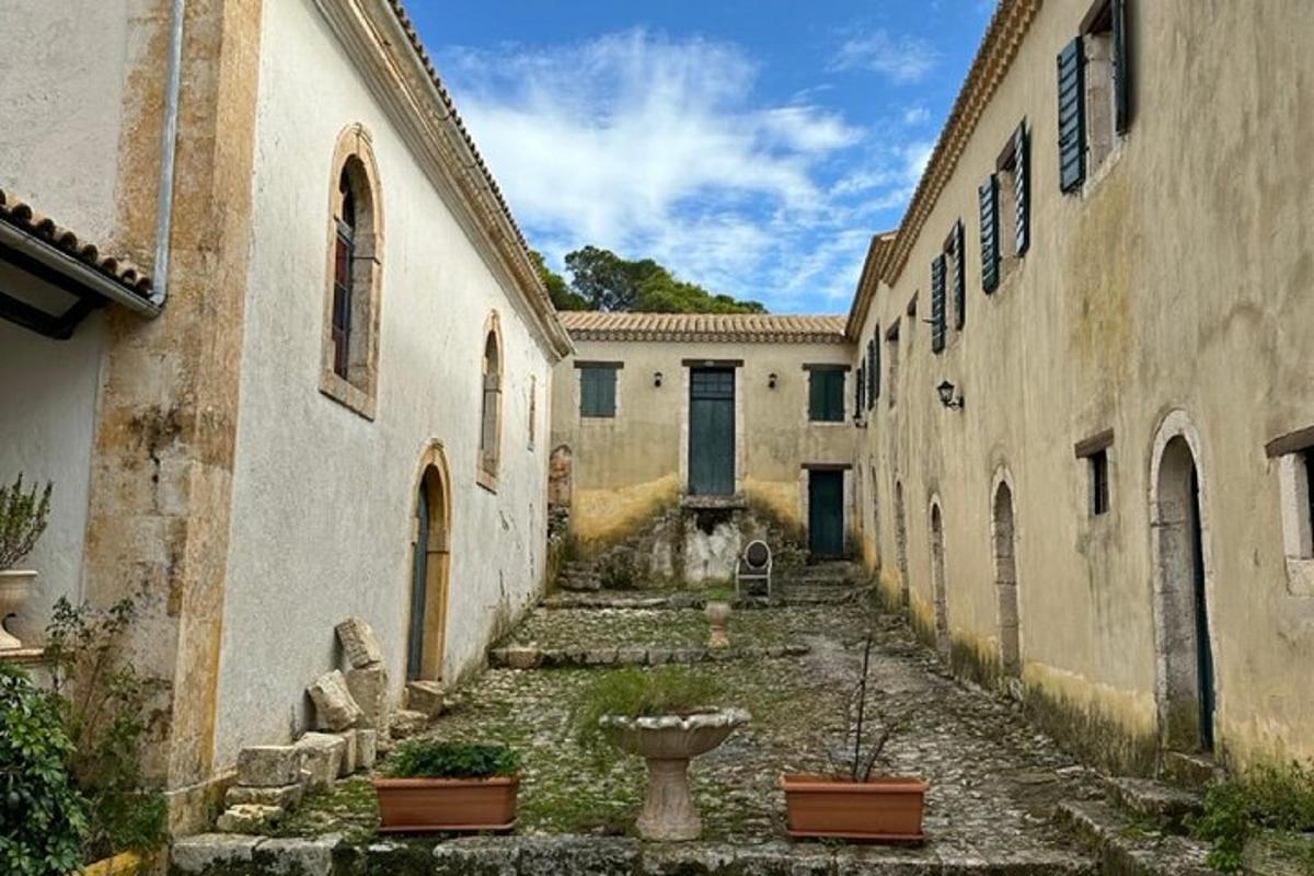 Un callejón en un edificio antiguo con plantas en macetas.