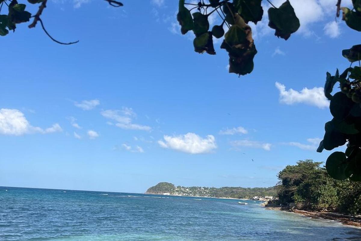 海岸から見た海の景色