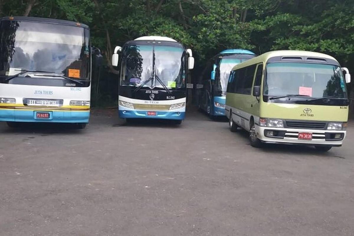 skupina autobusů zaparkovaných na parkovišti