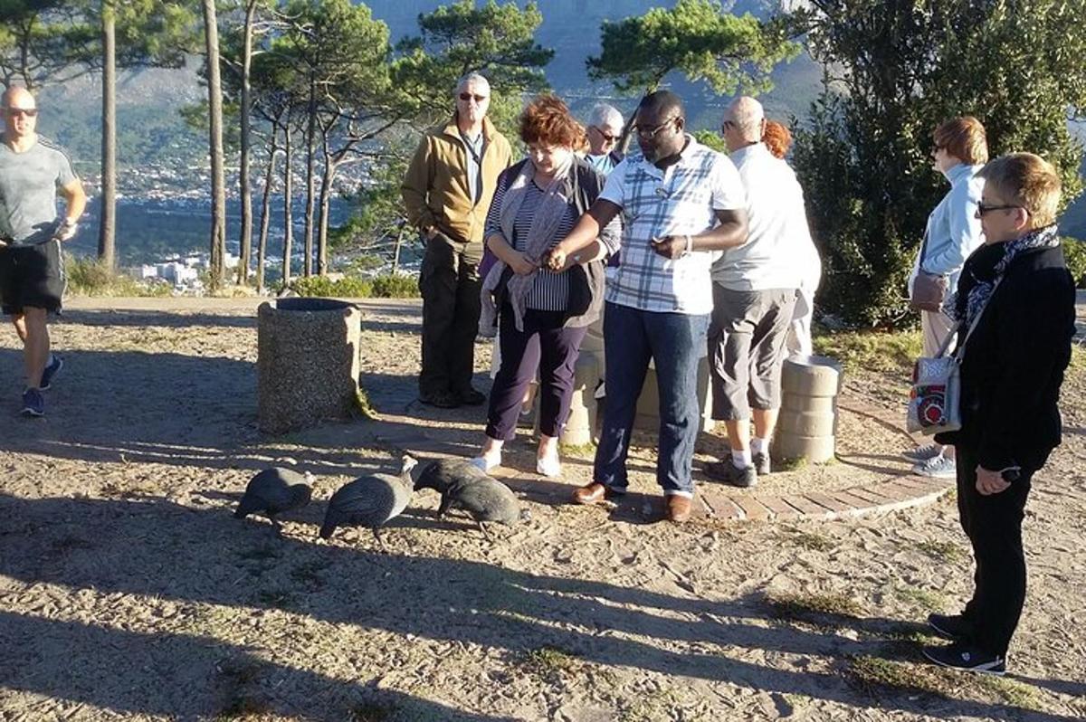 grupp inimesi, kes seisavad lindude rühma ümber
