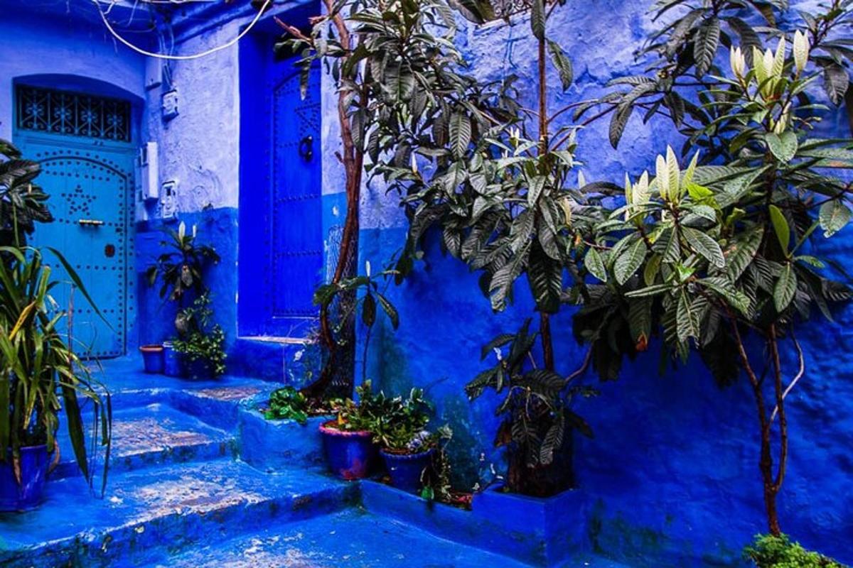 Una casa azul con una puerta azul y algunas plantas.