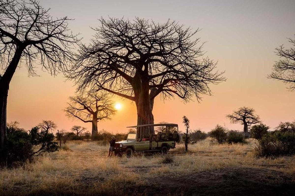 a truck parked in a field with a tree