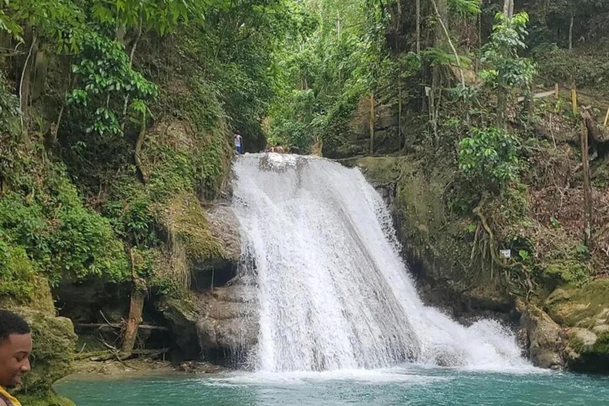 una cascata nel mezzo di una giungla