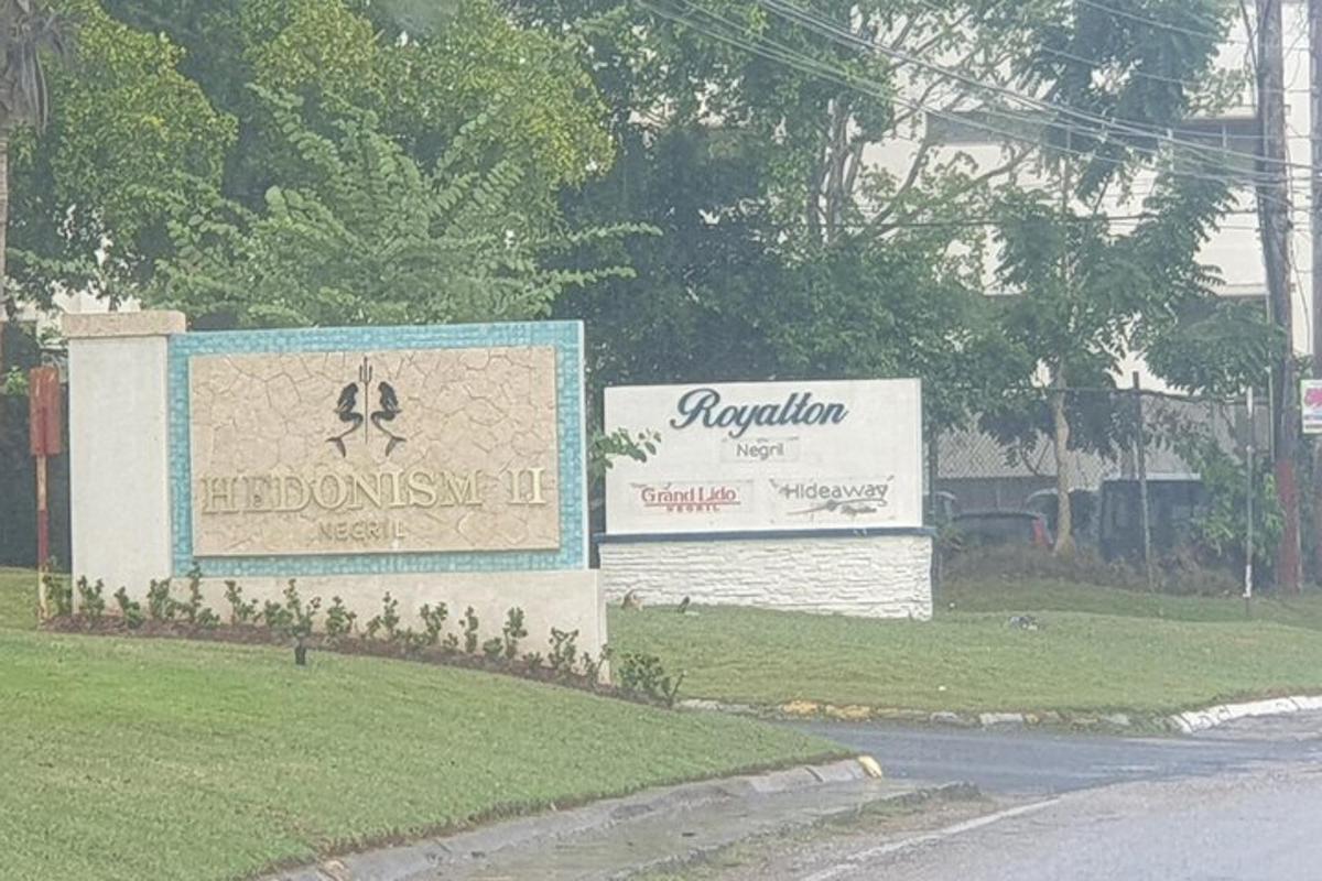 deux panneaux dans un parc à côté d'une rue