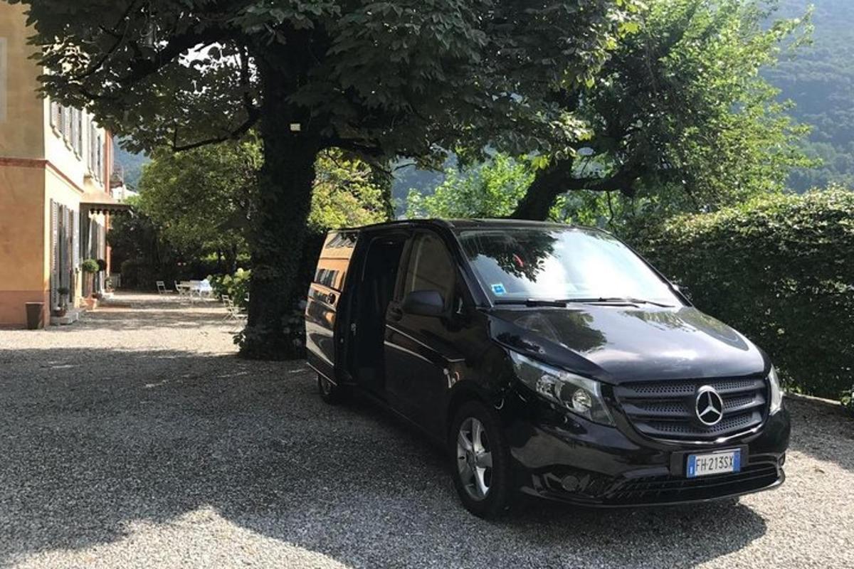 un cotxe negre aparcat al costat d'un arbre