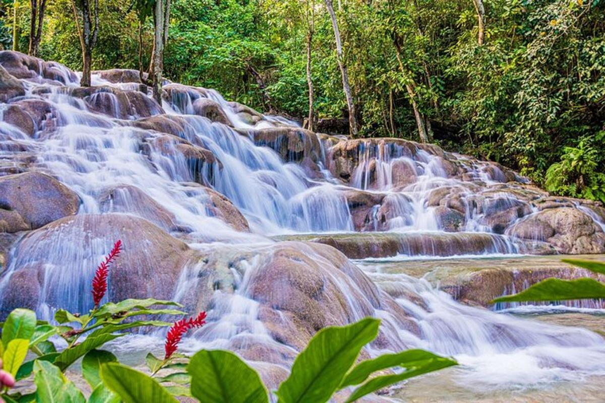 uma cachoeira na selva com flores vermelhas em primeiro plano