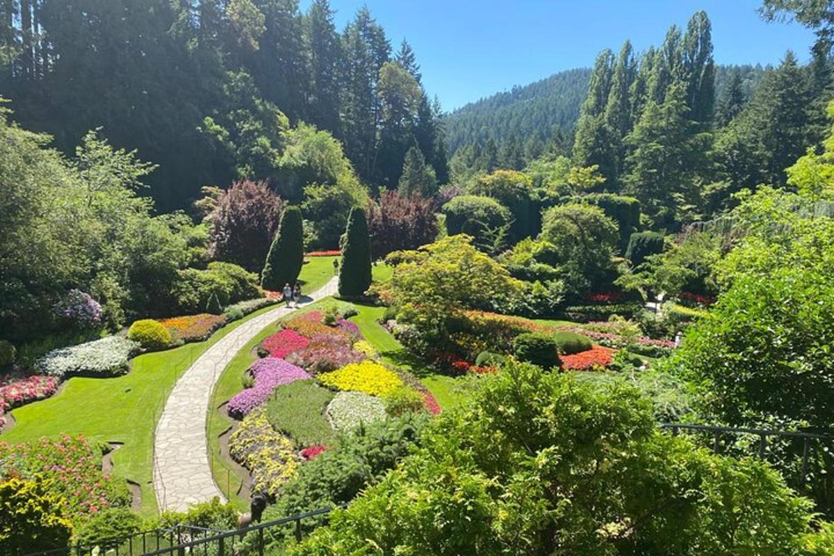 un giardino con fiori colorati e un sentiero