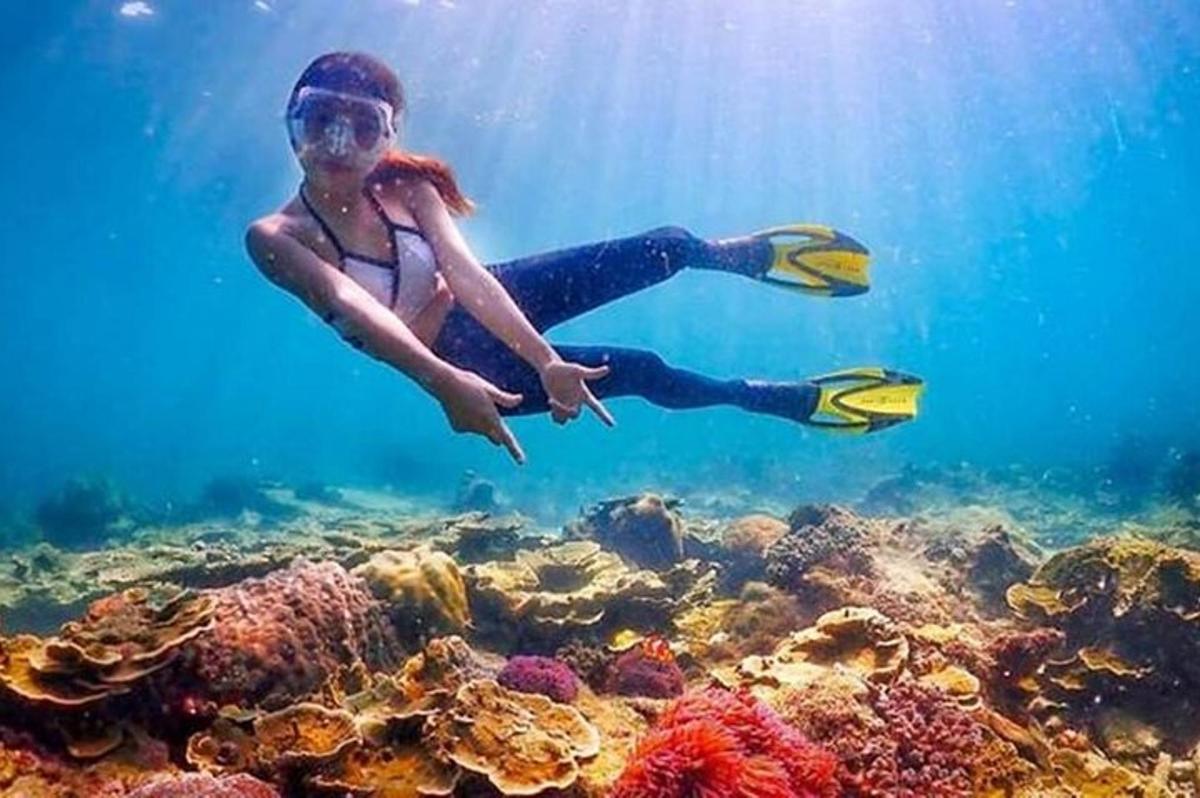 una donna sta nuotando su una barriera corallina