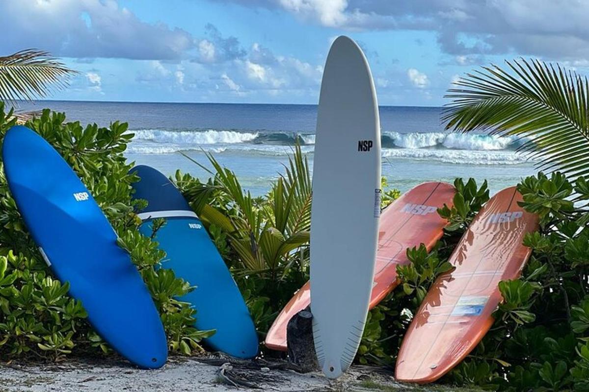 four surfboards are lined up on the beach