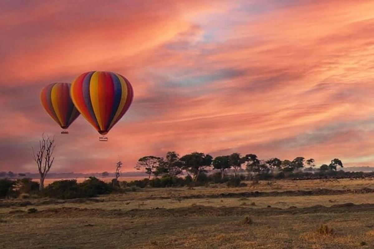 zwei Heißluftballons fliegen in den Himmel über einem Feld