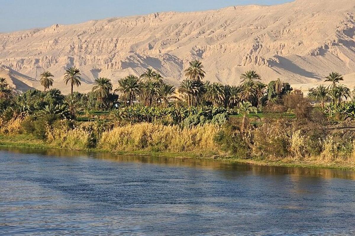 Un río con palmeras y montañas al fondo