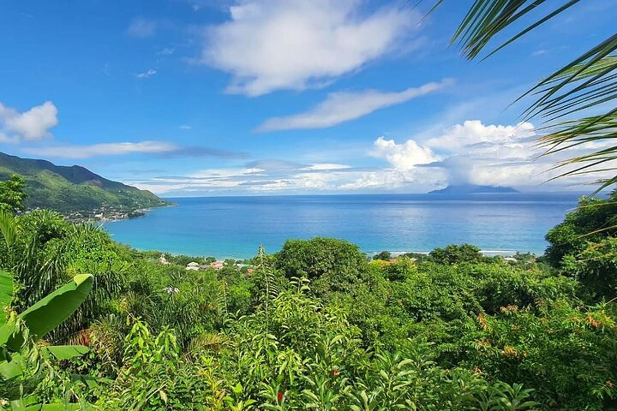 a view of the ocean from a hill with trees
