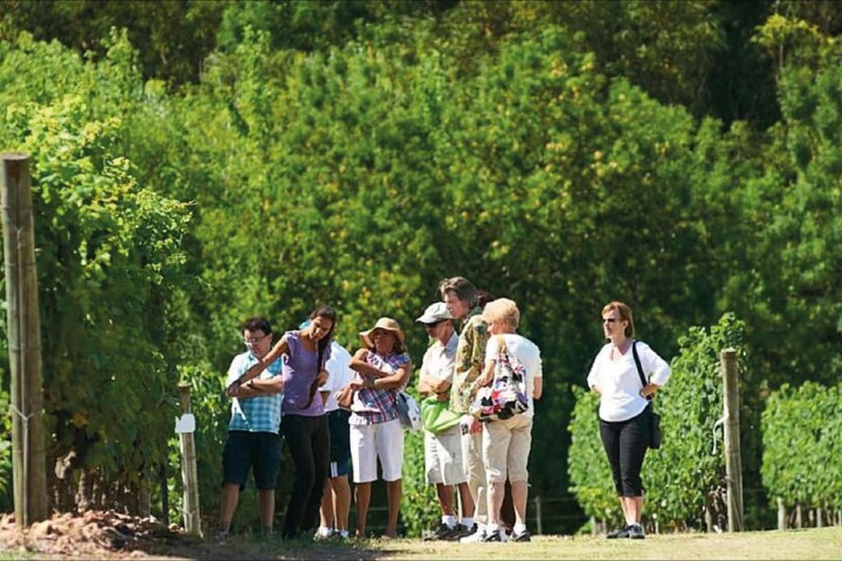 a group of people standing near a fence