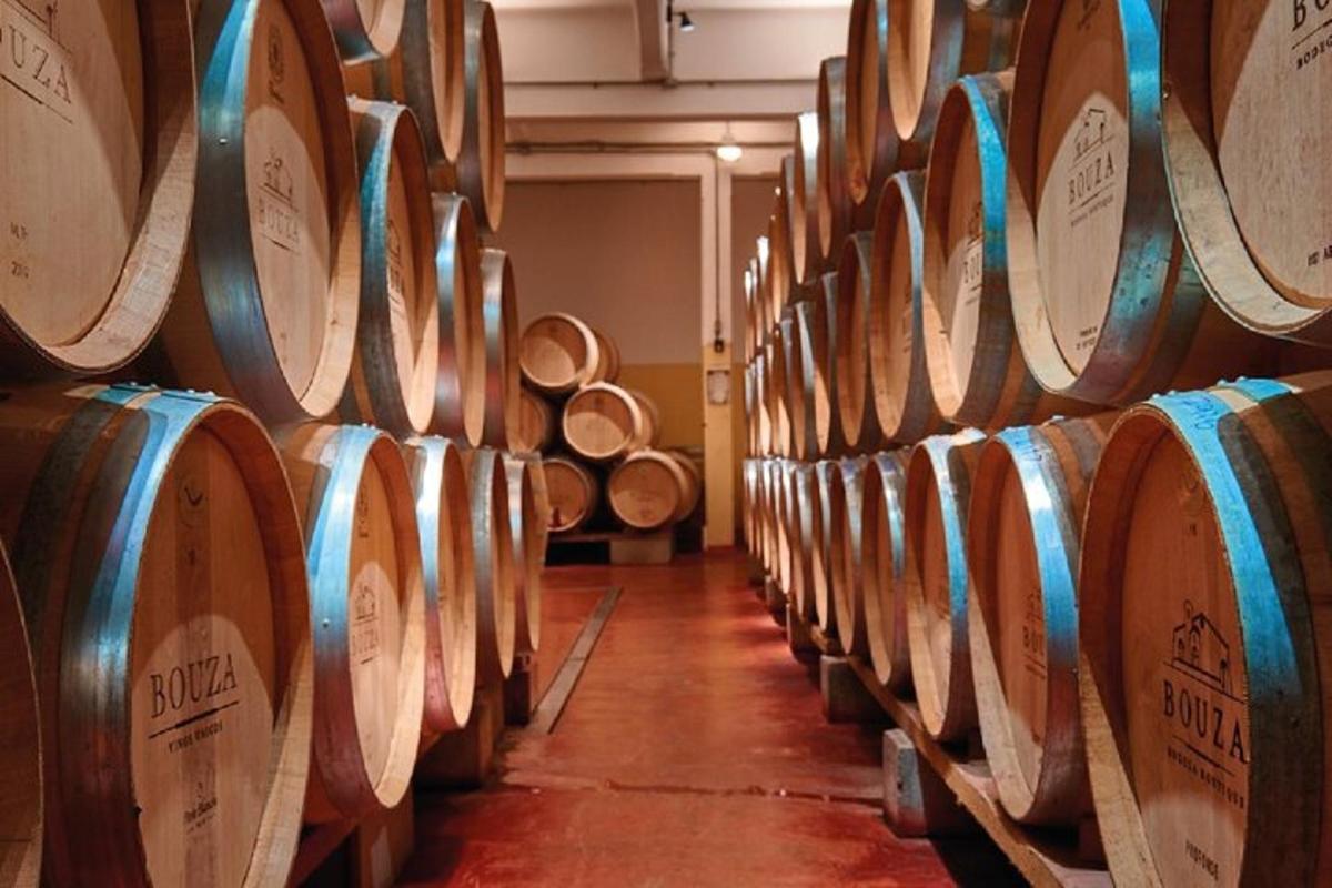 a row of wine barrels in a wine cellar
