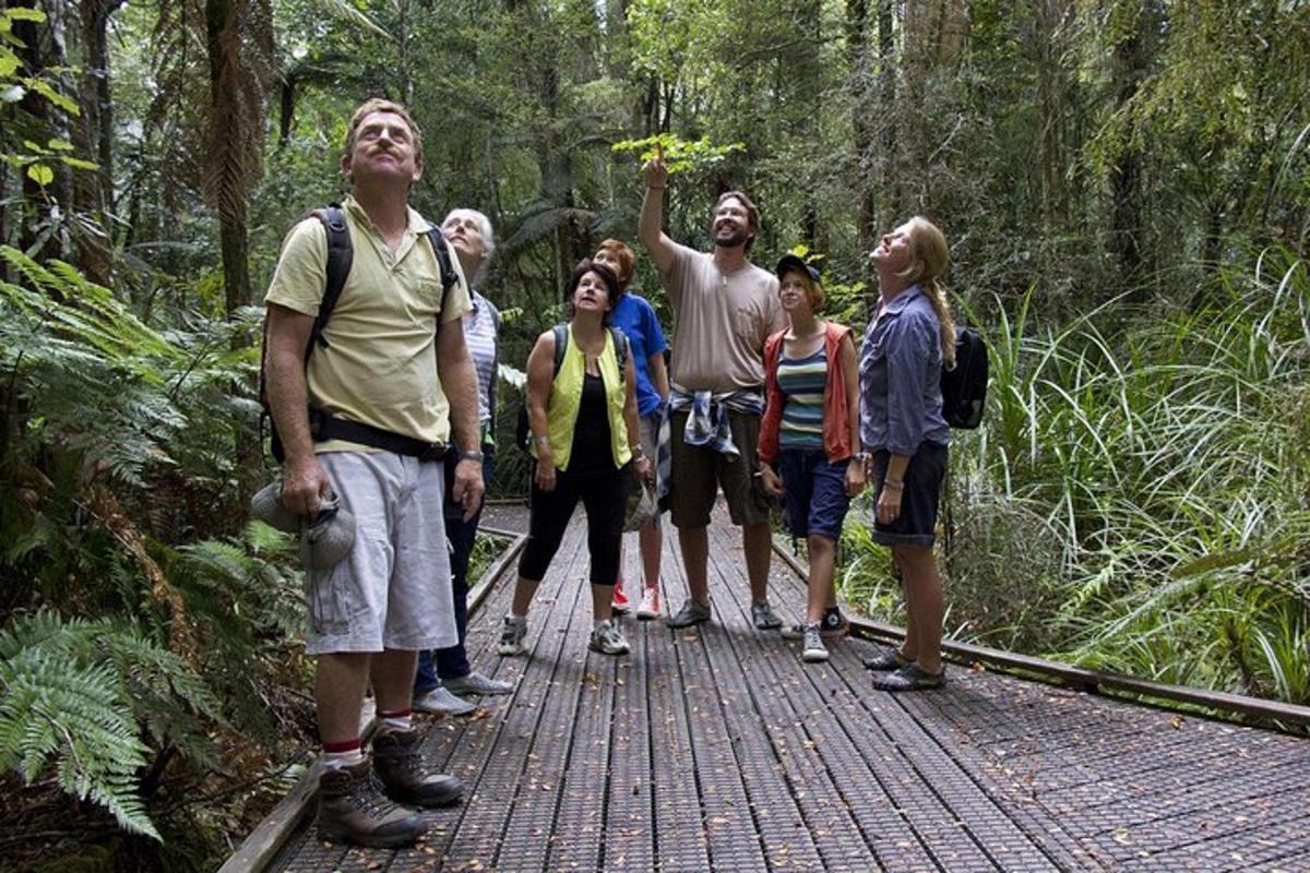 un gruppo di persone in piedi su un ponte nella foresta