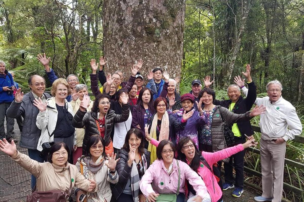 un gruppo di persone in piedi davanti a un albero