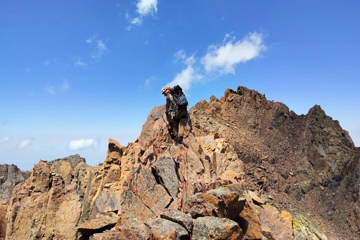 un pájaro parado en la cima de una montaña