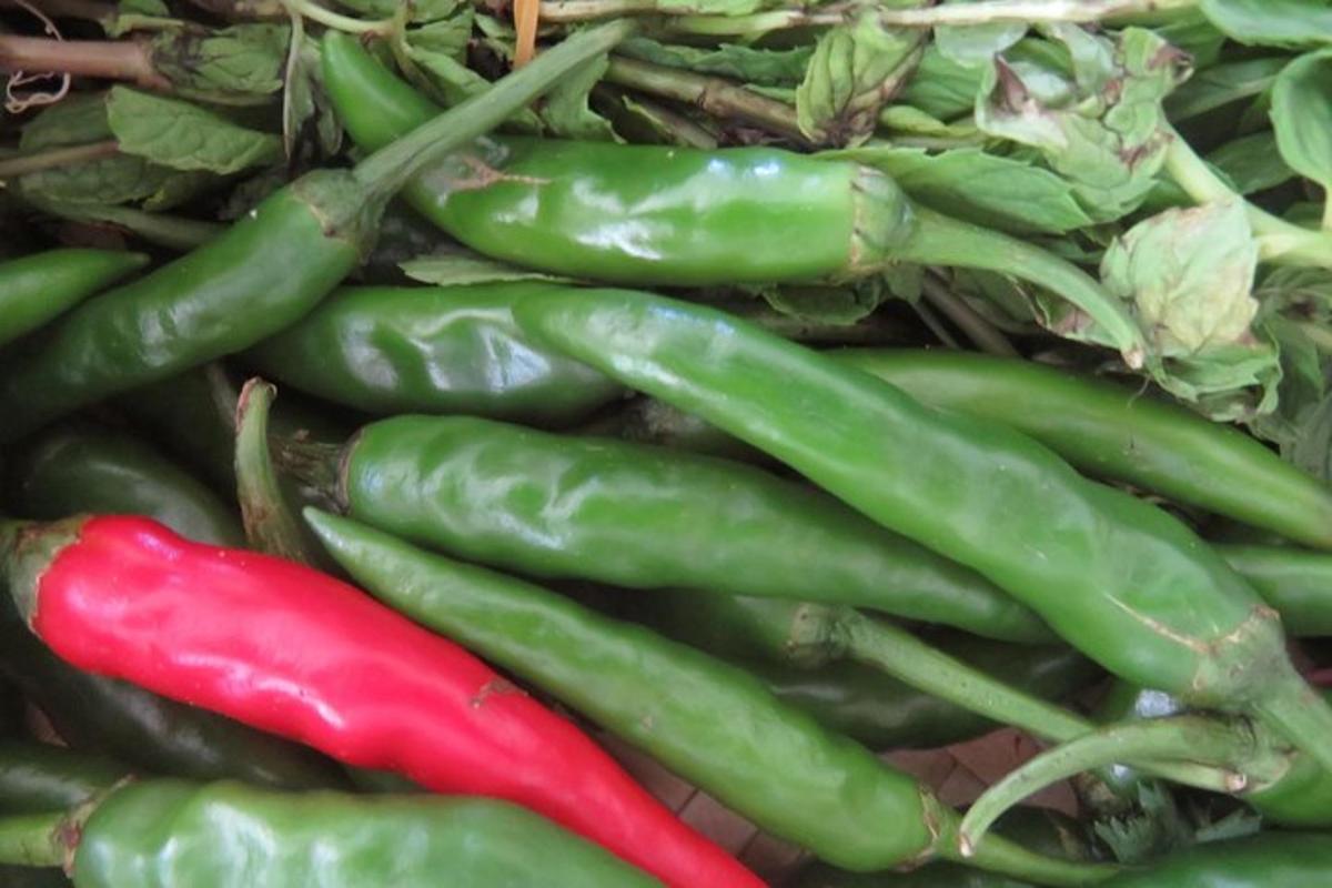 un montón de pimientos verdes y un pimiento rojo