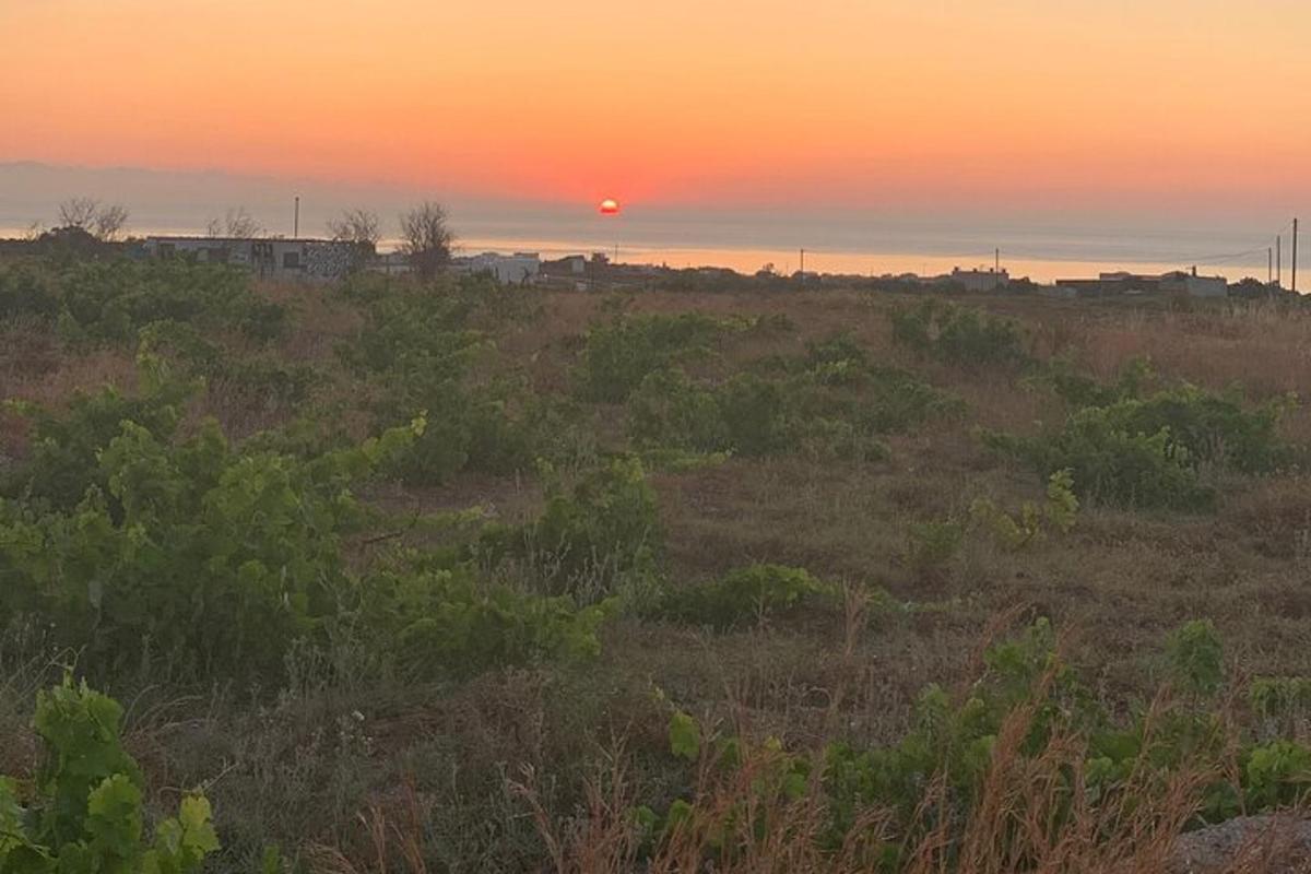 un tramonto in un campo con il sole in lontananza