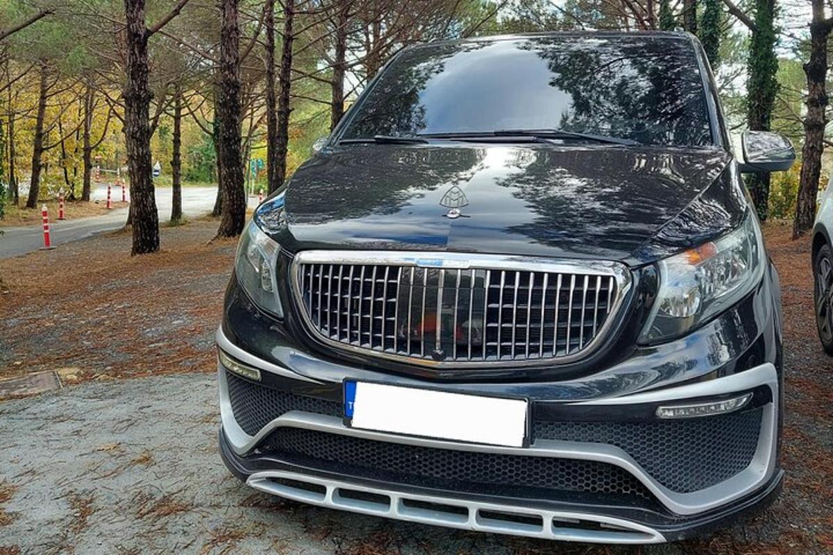 černé auto je zaparkované v parku
