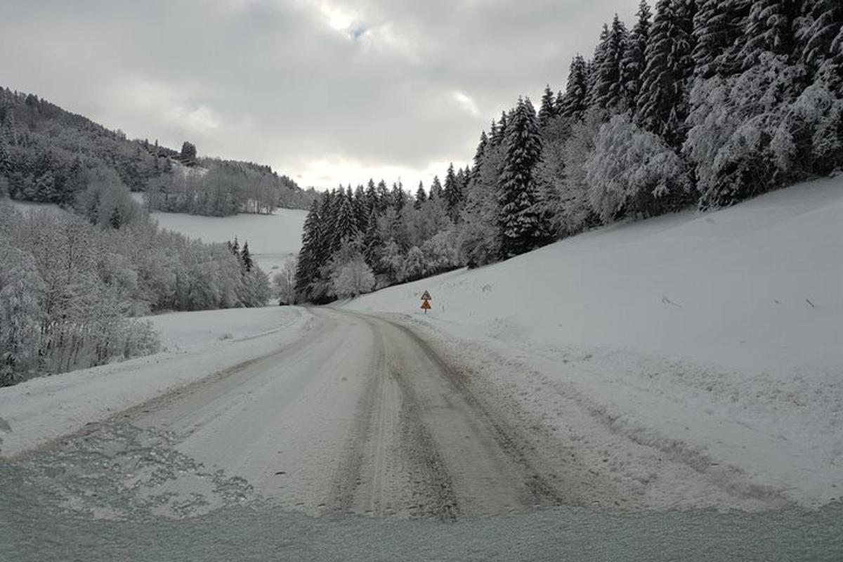 uma estrada coberta de neve com árvores ao lado