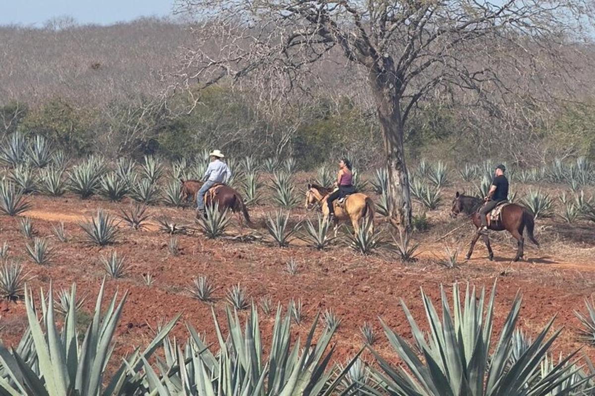 three people are riding horses in a field