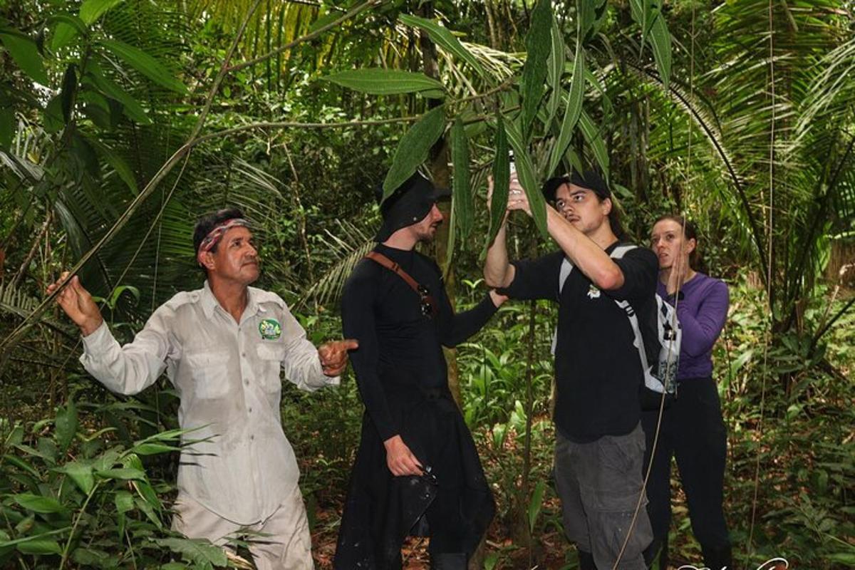 Un grupo de personas de pie en la jungla