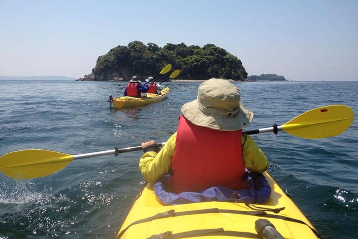 a group of people in kayaks on the water