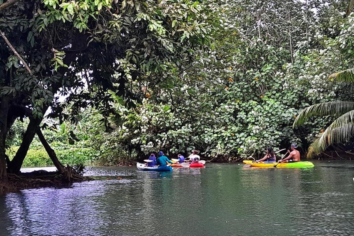isang grupo ng mga tao ang nag-kayak sa isang ilog