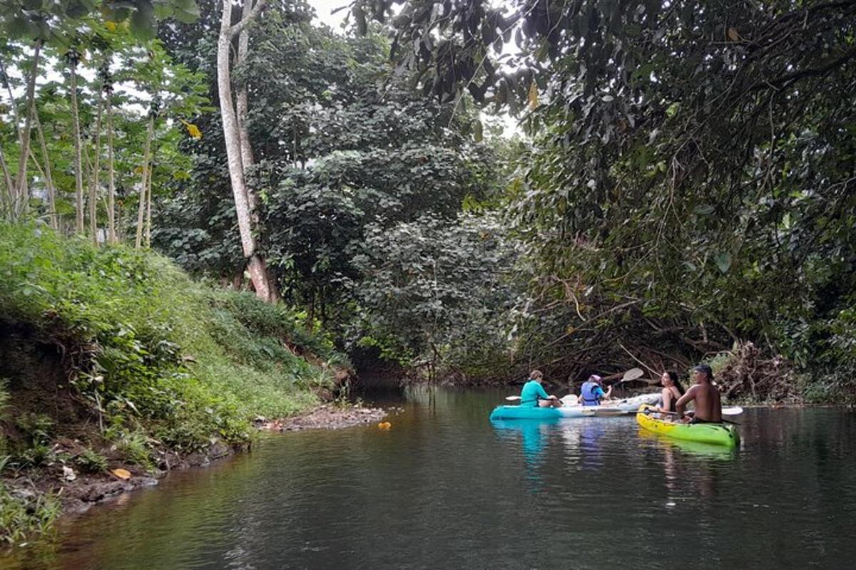 un groupe de personnes descendant une rivière en canoë