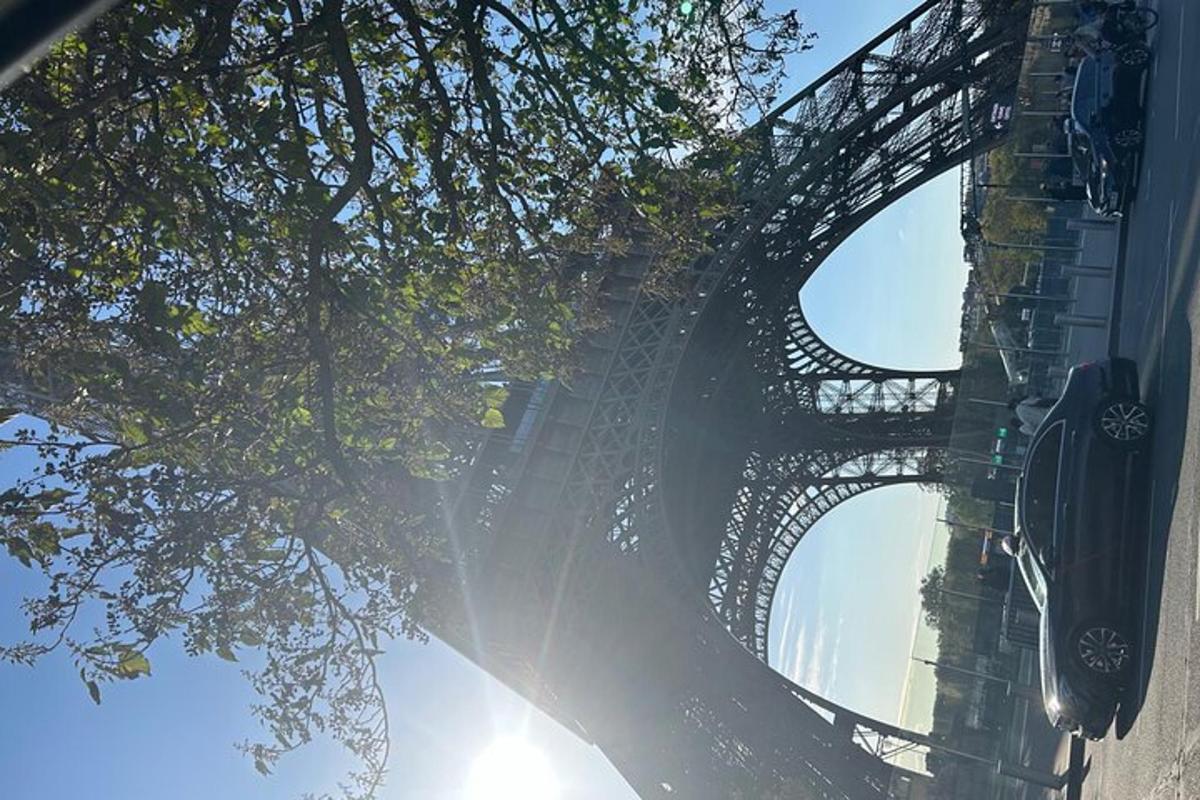 a view of the eiffel tower from under a tree