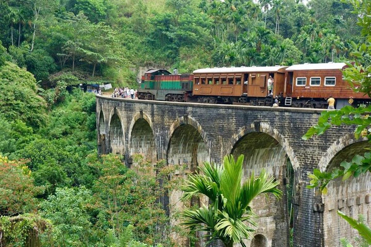 un tren creua un pont sobre un bosc