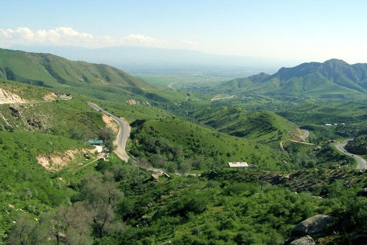 a view of a green valley with a winding road