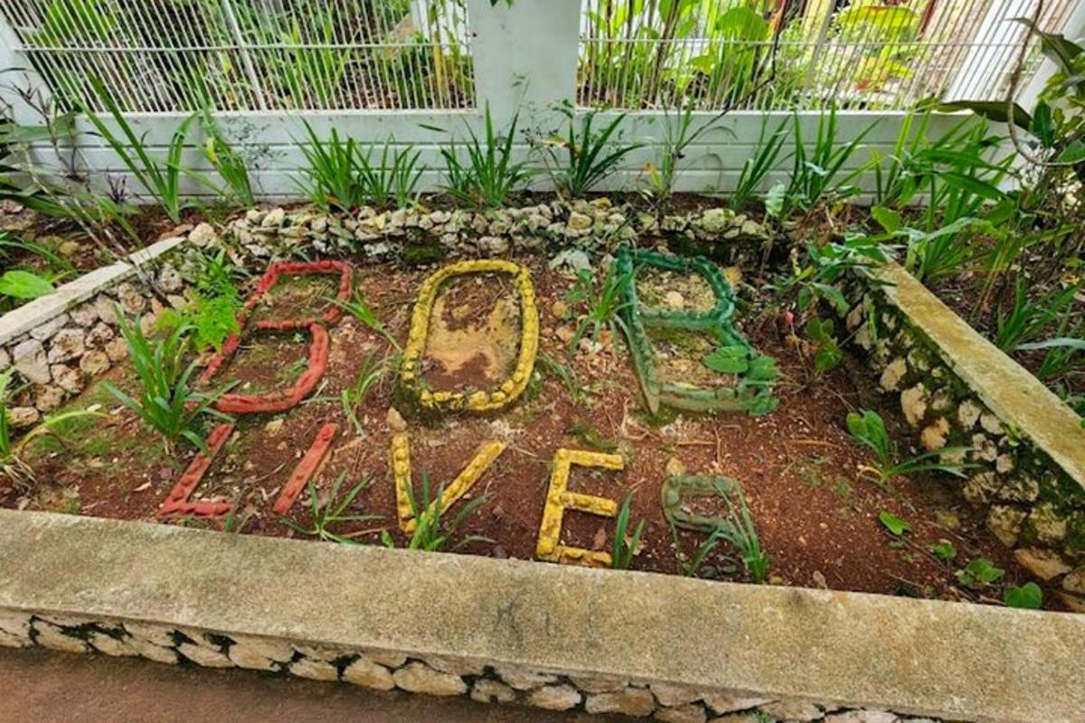 un giardino con un cartello che dice amore
