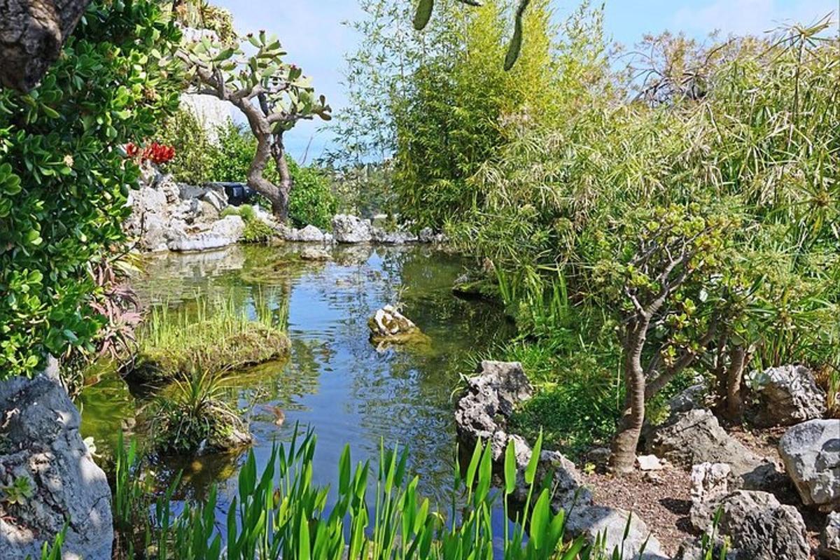 un jardí amb un estany amb arbres i roques