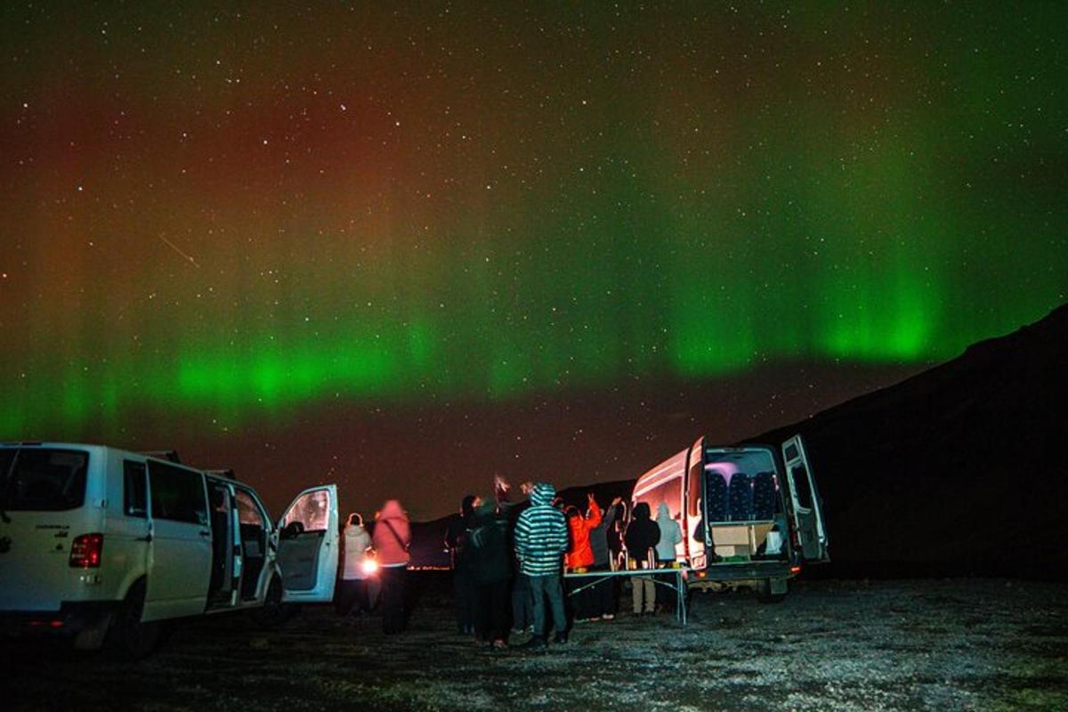 a group of people standing in front of their camels under the aurora