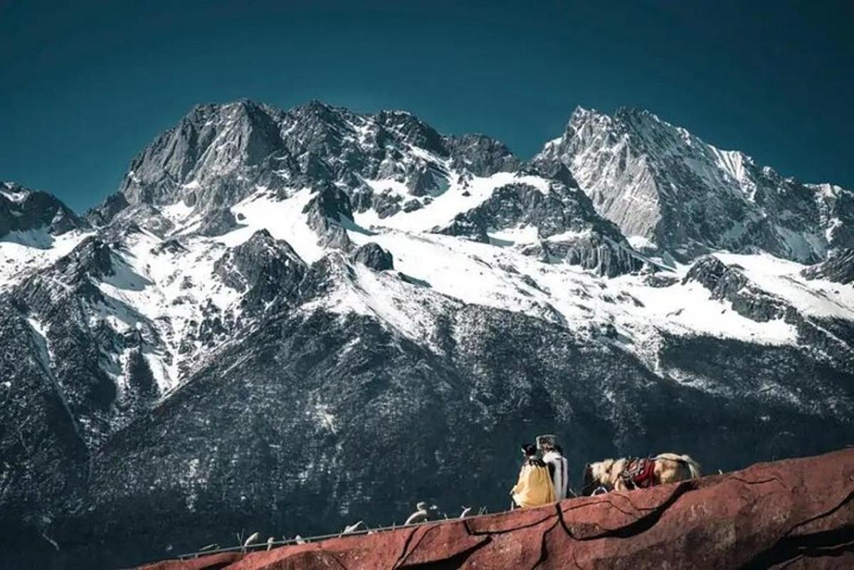 a group of animals sitting on top of a mountain
